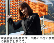 衆議院議員秘書時代、四郷の串柿の季節に挨拶まわりにて。